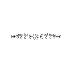 handdrawn floral divider