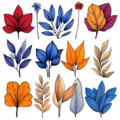 Fototapeta premium Hand-Drawn Set of Autumn Plants: Vector Sketches of Harvest Leaves and Seasonal Fall Flowers