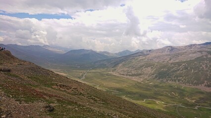 Obraz premium meadow in the winter with lush green grass