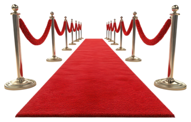 PNG Red carpet premiere exclusive celebrity.