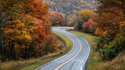 Naklejka premium A captivating view of a winding road leading through the autumn hills, inviting a scenic drive in nature.
