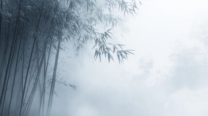 Silhouettes of Bamboo in a Misty Morning