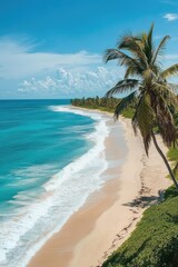 Fototapeta premium Beach with Palm Trees