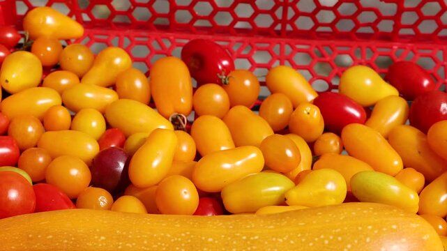 Tomatoes in Red Basket, Libourne Market
