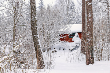 Red cottage in a beautiful winter forest
