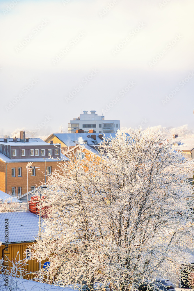 Wall mural Cityscape view of rooftops on a cold wintry day with hoarfrost on the trees