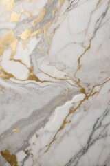 Obraz premium White marble background with gold baroque decorative elements. Elegant combination of white, gray stone with gray veins and gold ornaments