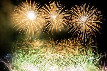 Fireworks in the night sky
