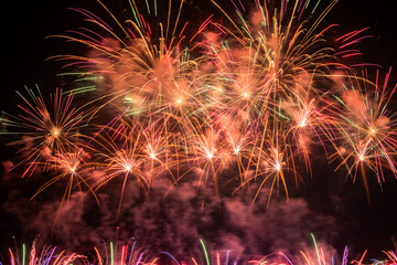 Fireworks in the night sky
