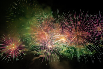 Fireworks in the night sky
