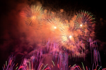 Fireworks in the night sky
