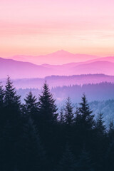 Obraz premium The early morning light reveals a breathtaking view of mist-covered mountains and lush evergreen forests, painted in pink and purple hues