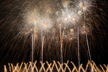 Fireworks in the night sky
