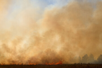 Raging dust smoke of fire burn in grass fields smoke to sky big wildfire and pollution in air