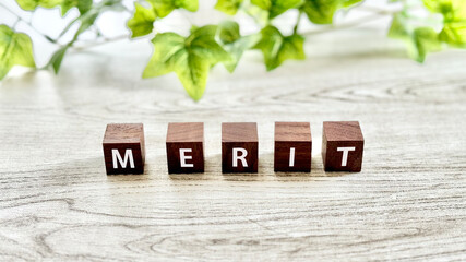 木の立方体にMERITの文字_白板背景