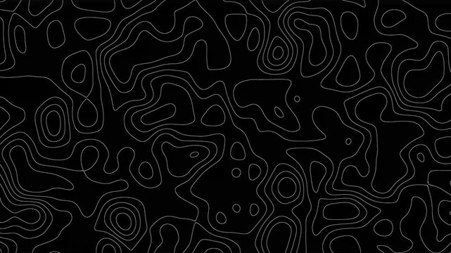 Abstract Topographic Animation