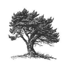 Artistic Sketch of a Majestic Tree in Nature