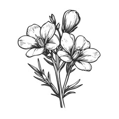 Obraz premium Hand-Drawn Floral Illustration of Charming Blossoms