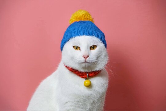 ドラえもん風ねこ