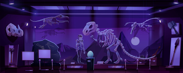 Museum exhibit featuring dinosaur skeletons and artifacts under purple lighting at night. Cartoon vector archaeological gallery with large raptor backbone, fossils and egg, prehistoric people tools. © klyaksun