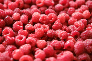 Sweet raspberry background. Full frame of fresh raspberries. Red ripe berry photo wallpaper...