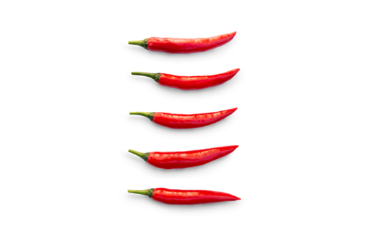 Closeup of fresh organic red chilli pepper from the garden isolated on a transparent background with shadow from above, top view, png