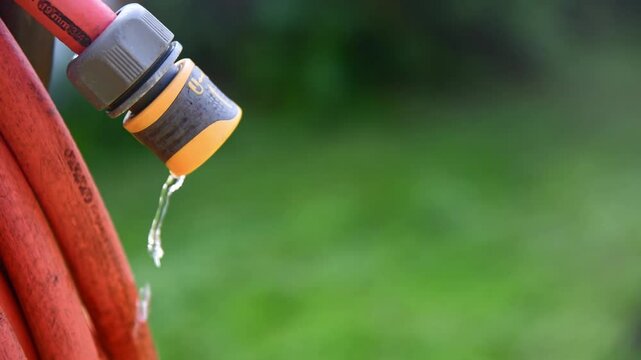 water dripping from hose, gardening, watering plants, saving water, with copy space