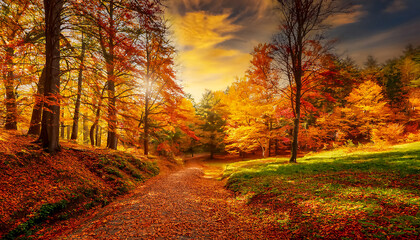 Obraz premium Gorgeous, bright and beautiful autumn landscape in the forest with a path