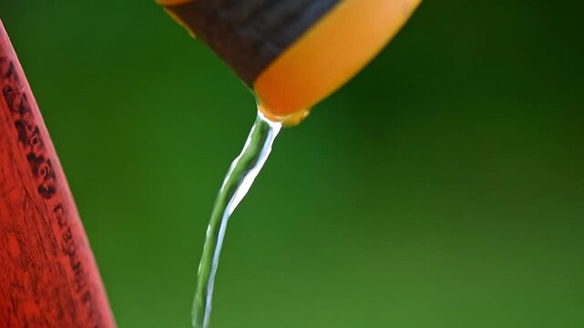 water dripping from hose, gardening, watering plants, saving water, with copy space