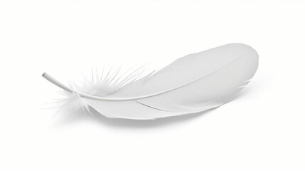 Obraz premium Pure White Feathers: Symbols of Innocence and Elegance in Nature's Canvas