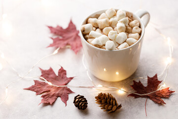 Cup of hot chocolate on white background