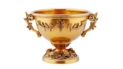 Elegant Golden Trophy with Decorative Details
