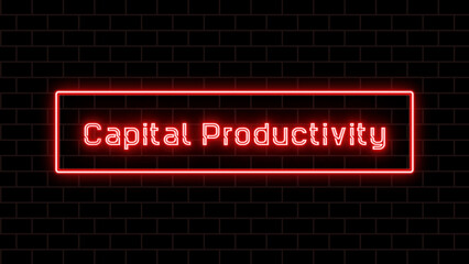 Capital Productivity のネオン文字