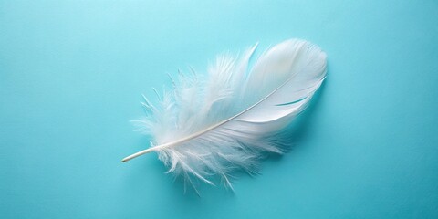 Obraz premium Flat lay of a white feather on a pale blue background Macro