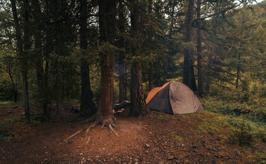 Tent in backcountry 