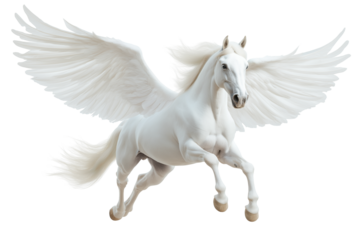 Majestic White Winged Pegasus Horse Soaring in the Sky on transparent  Background
