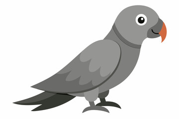 African grey parrot vector art illustration