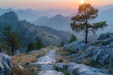 Lone tree on a rocky path in the mountains - Powered by Adobe