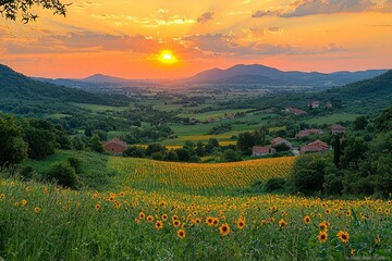 Obraz premium Sun setting over rolling hills with a field of sunflowers in the foreground