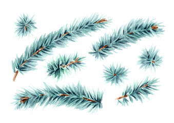 Blue Fir branch set. Watercolor real hand painted illustration, isolated on white background