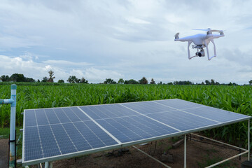 Drones record the cultivation of green vegetables, sugarcane fields, corn fields and solar panels in green fields.