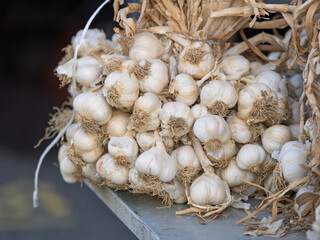 White garlic pile texture. Fresh garlic on market table closeup photo. Vitamin healthy food spice image. Spicy cooking ingredient picture. Pile of white garlic heads. White garlic head heap top view