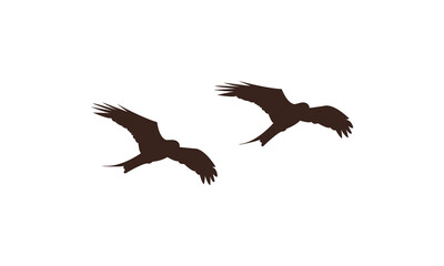 Flying Birds Vector Illustration Collection. 