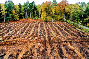 Clearing moorland for agriculture destroying peat bogs