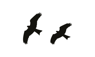 Flying Birds Vector Illustration Collection. 