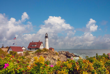 Wonderful flowering plants surrounding the Portland Head Light, Fort Williams Park, Cape Elizabeth,...