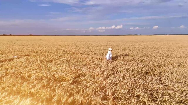 Girl in white dress walks and runs in field and wheat or cereal fields.