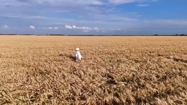 Girl in white dress walks and runs in field and wheat or cereal fields.
