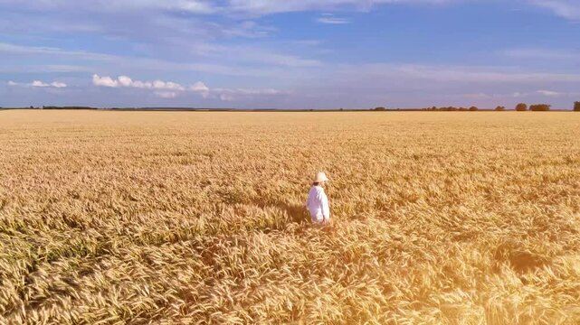 Girl in white dress walks and runs in field and wheat or cereal fields.
