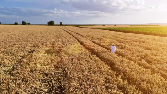 Girl in white dress walks and runs in field and wheat or cereal fields. Big gold sunset lens flare like in paradise.